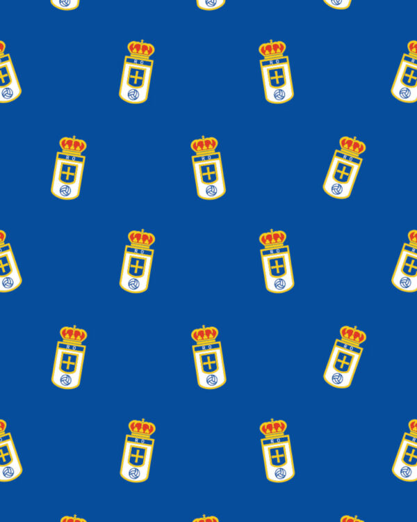 Oviedo Escudo 2 3