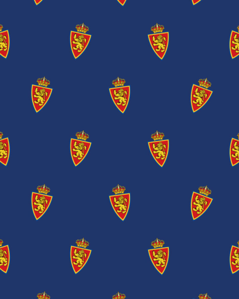 Zaragoza Escudo 2