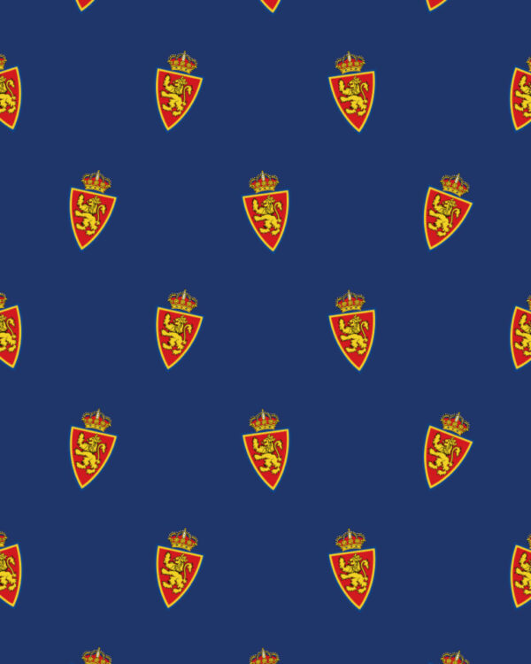 Zaragoza Escudo 2 4