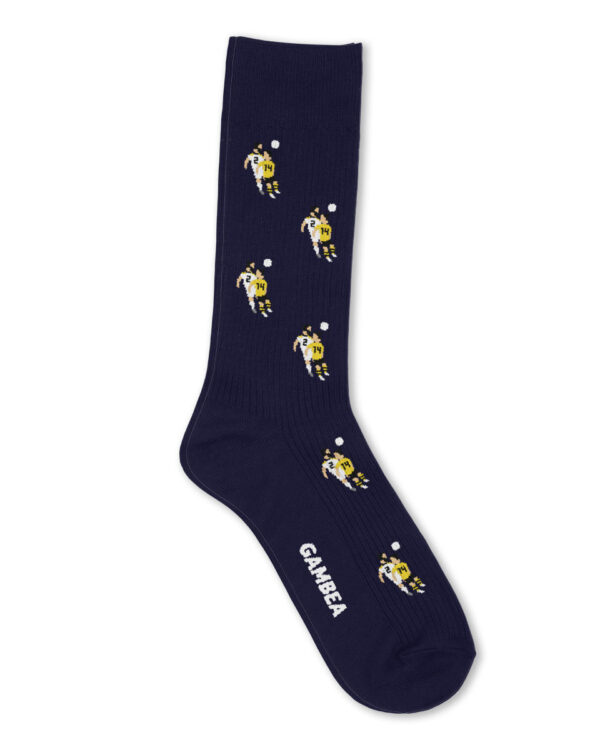 Pitbull Socks