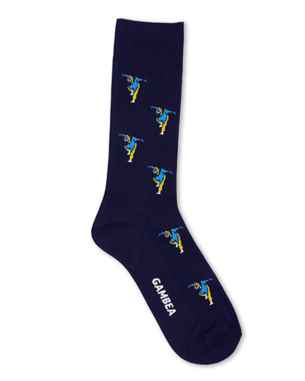 Pajaro Socks