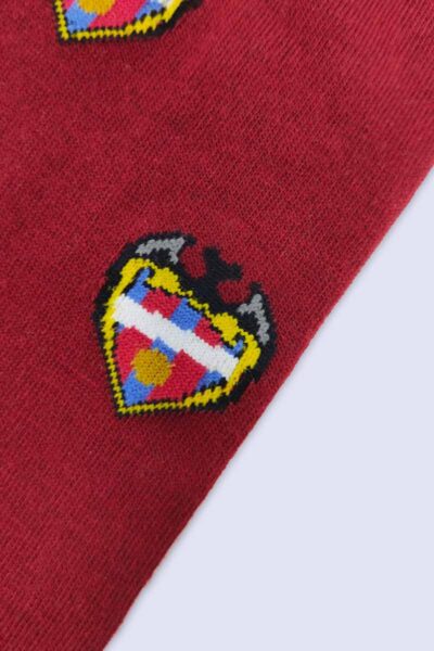 Levante UD Crest Sock