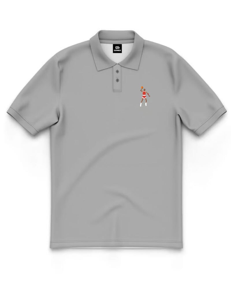 Polo Avion Gris (1)