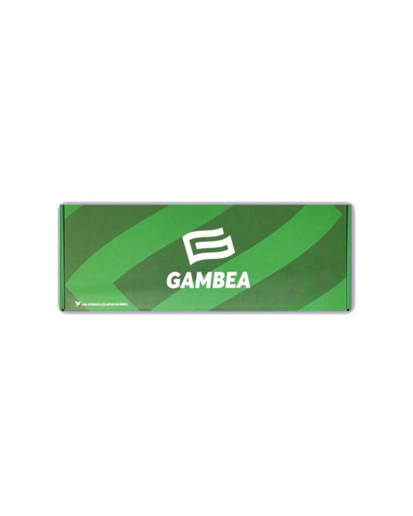 Pack-3 CELESTE